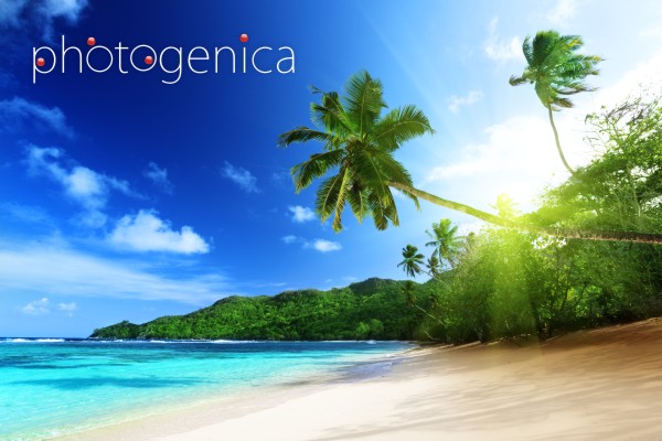 ���� �������� ����������