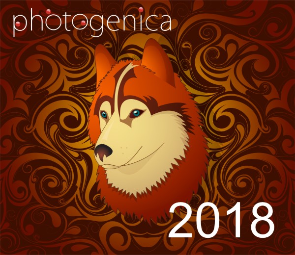    2018