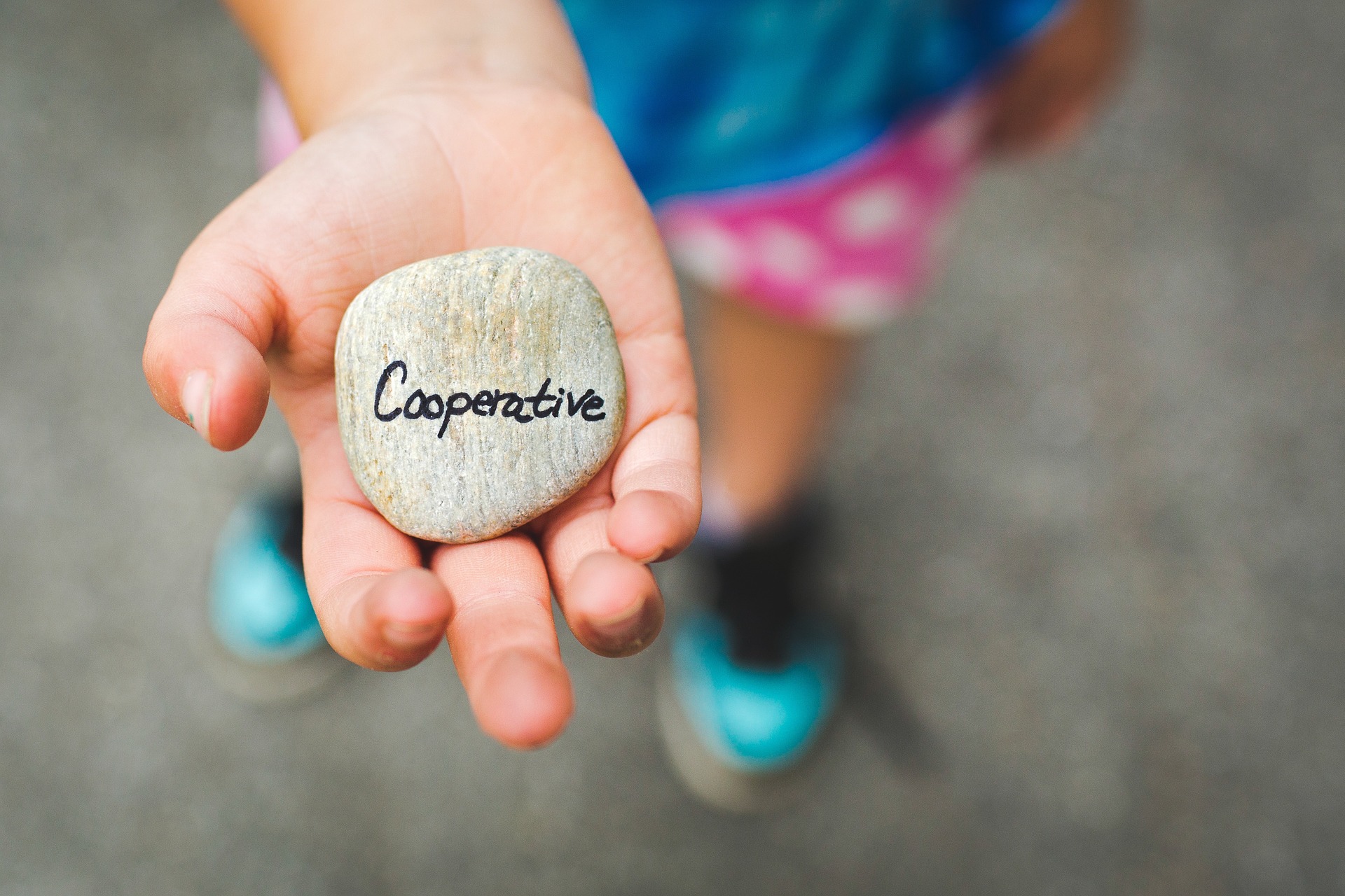 cooperative-1246862_1920.jpg