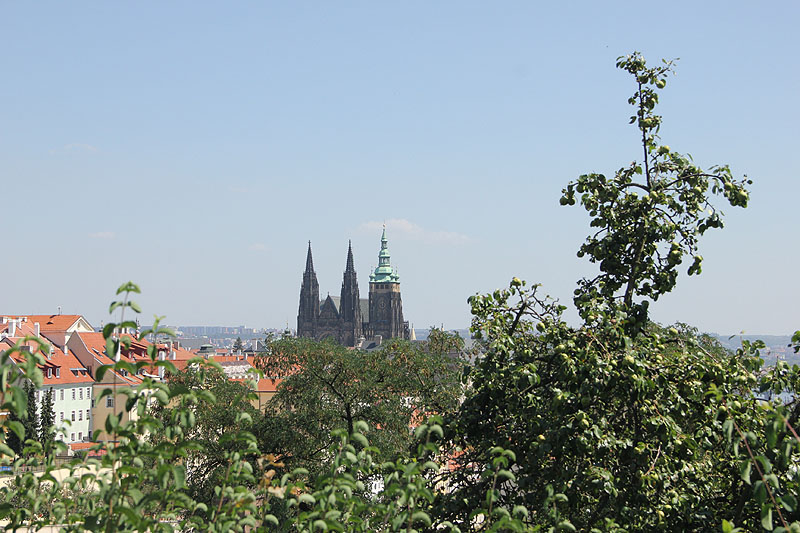 14.JPG