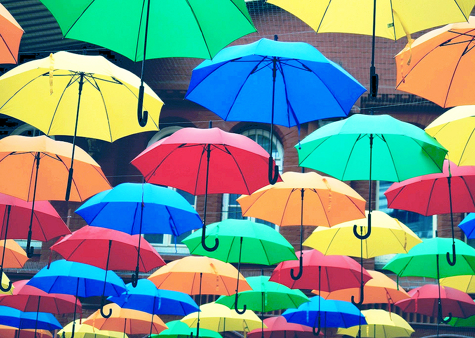 ��������� ����� �����