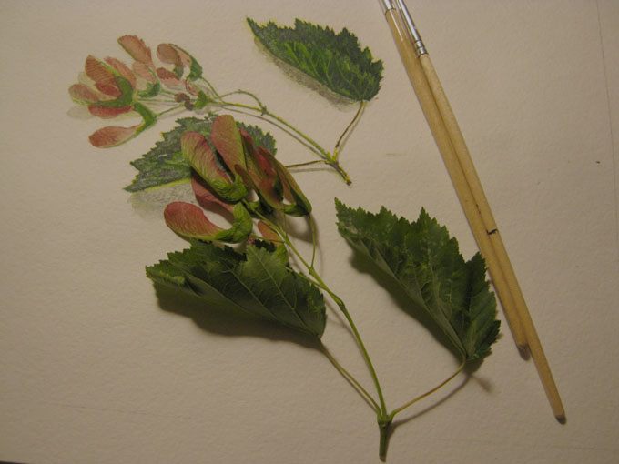draw18_08.jpg