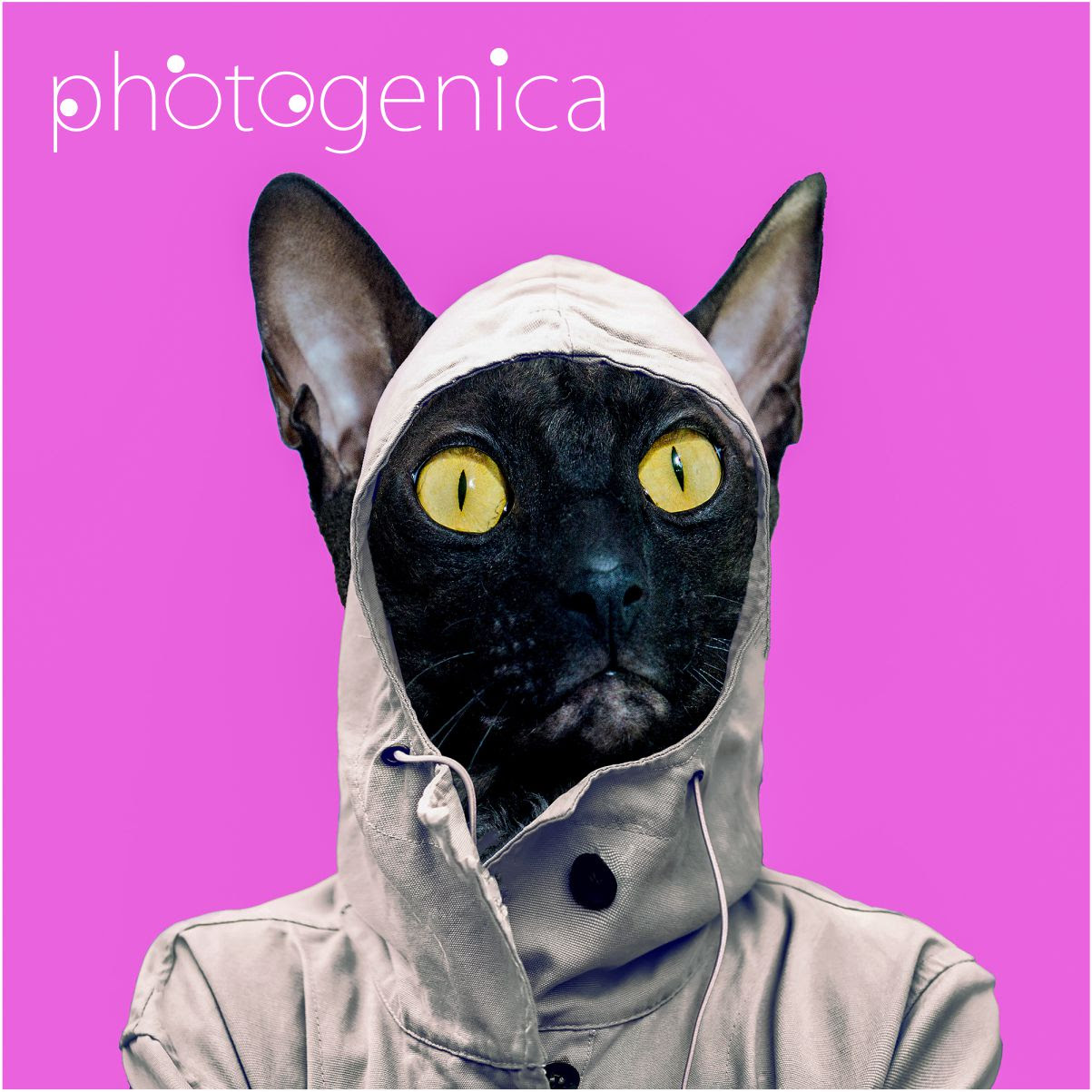 20190131_Photogenica.jpg