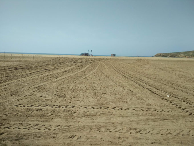 IMG_20190429_104447.jpg