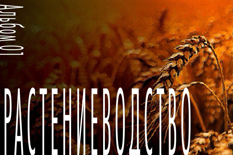 ��������������� �������� agriculture