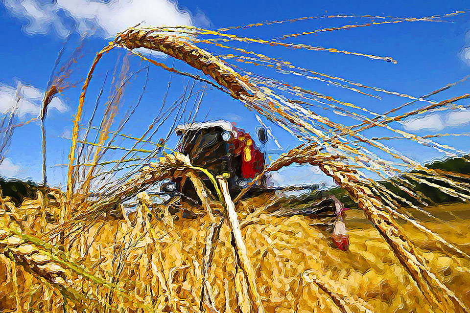   agriculture