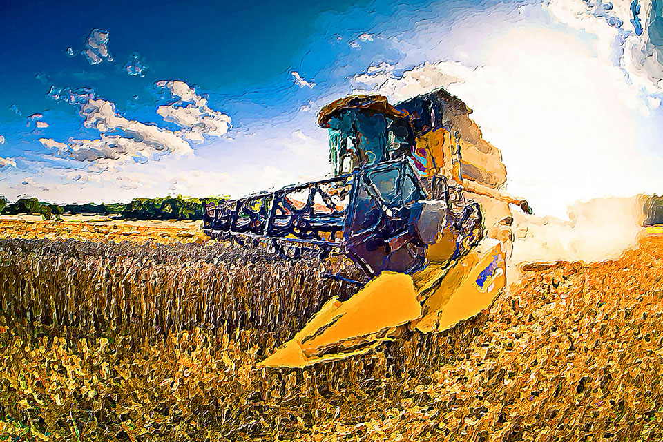   agriculture