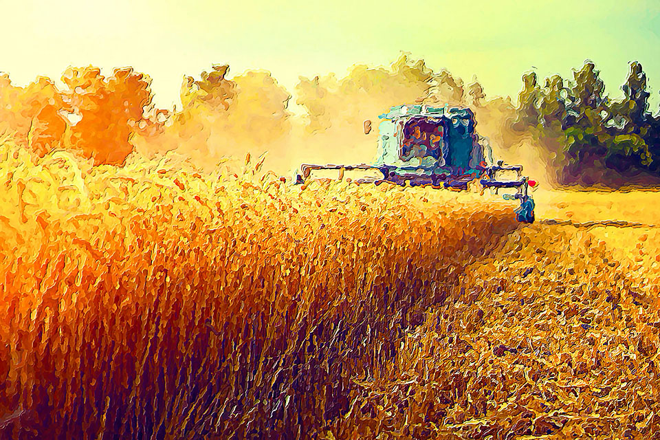  agriculture