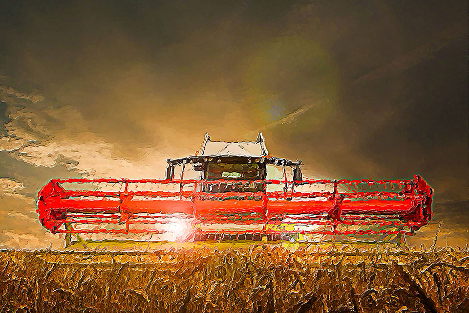   agriculture