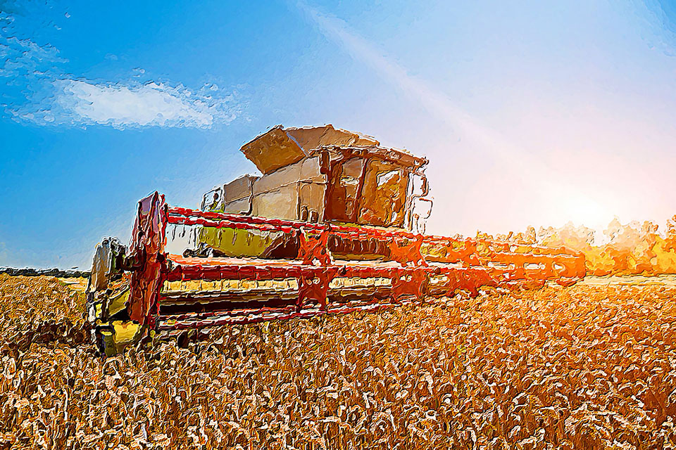   agriculture