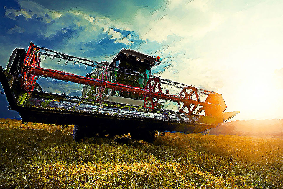   agriculture
