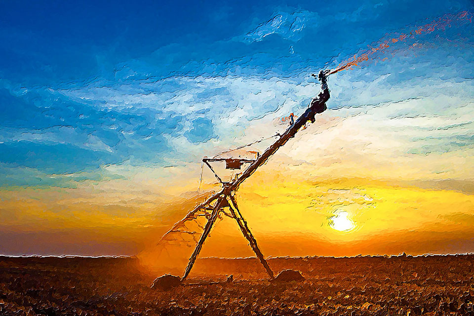   agriculture