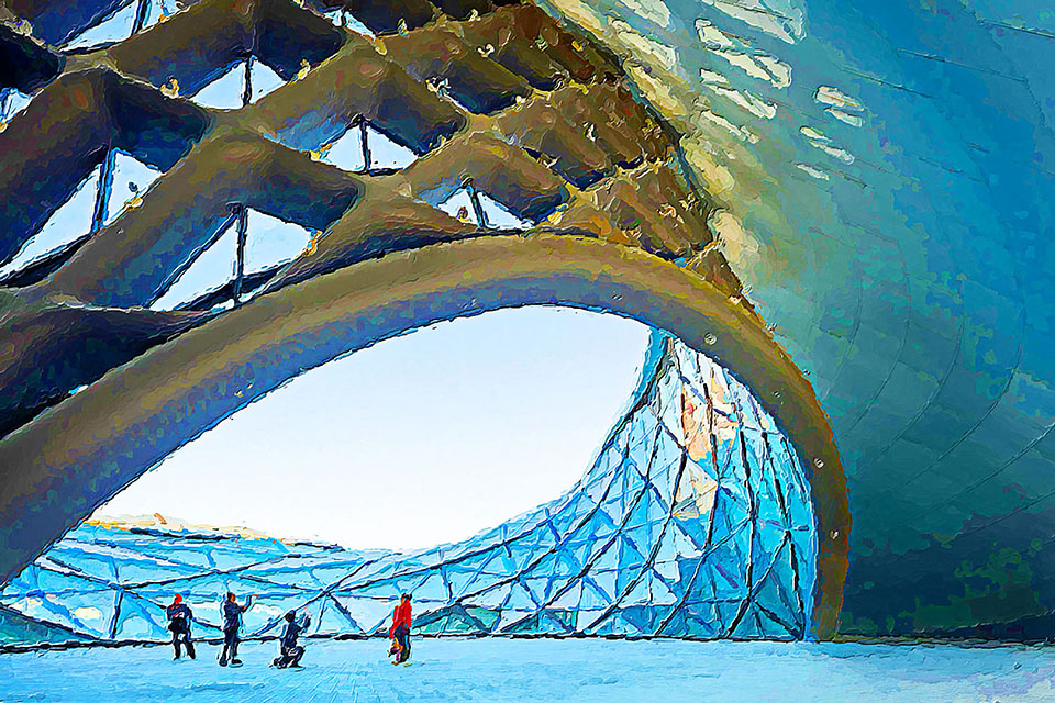 �����������