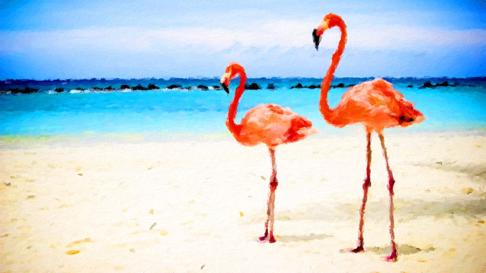 ���� �����