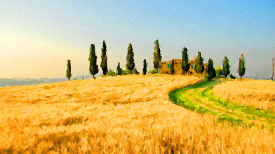 ���� �����