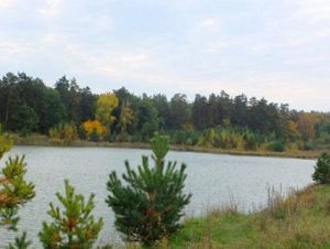 1.bo.prud-300x226.jpg