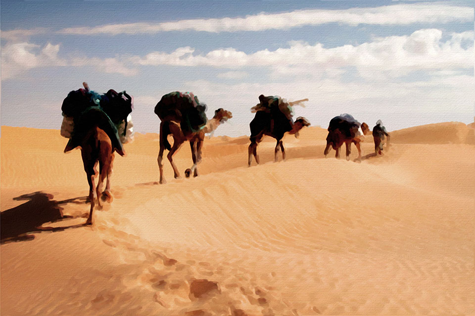 �������