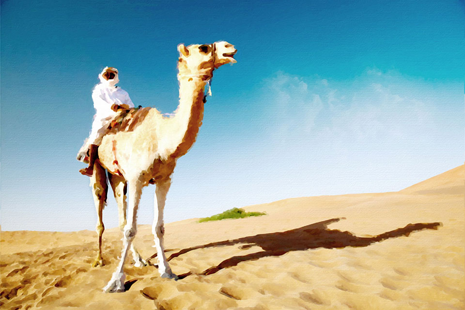 �������