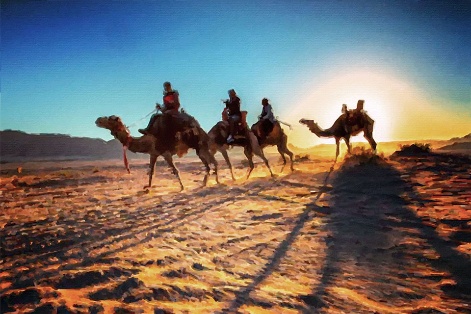 �������