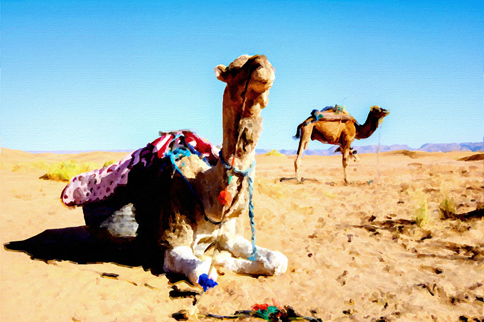 �������