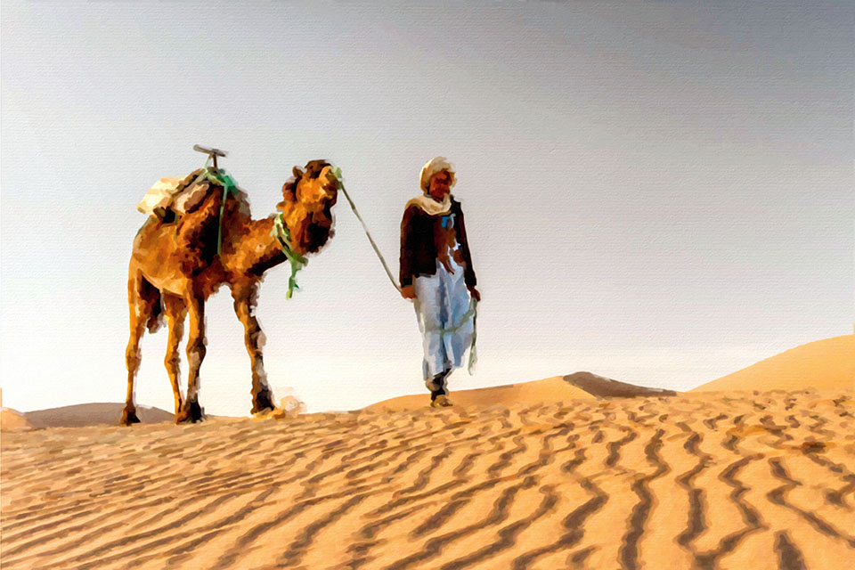 �������