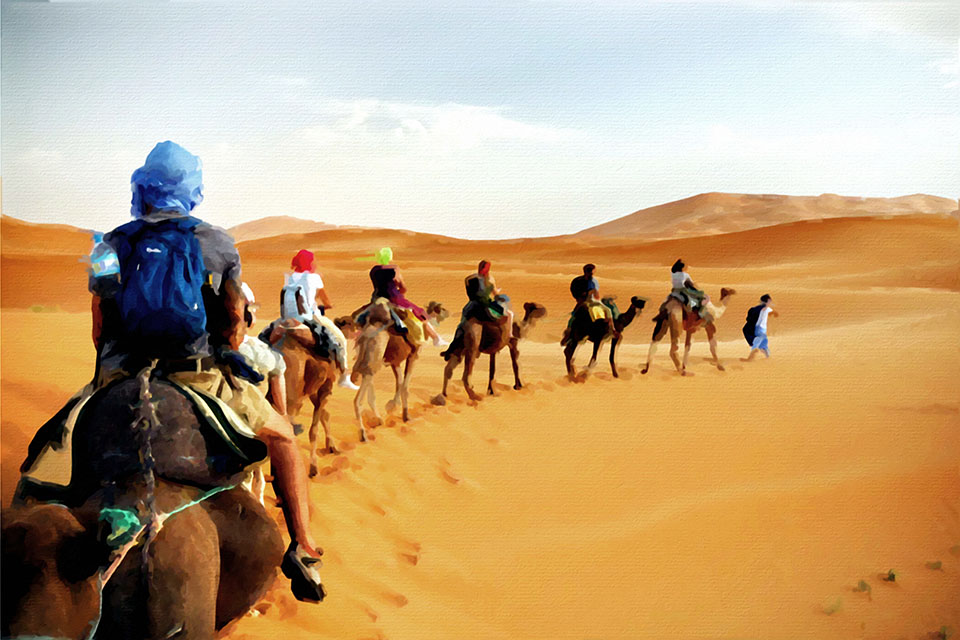 �������