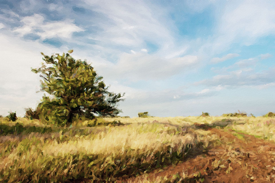 ������� ����