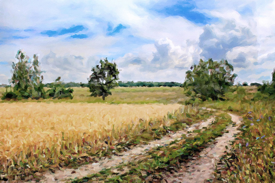 ������� ����