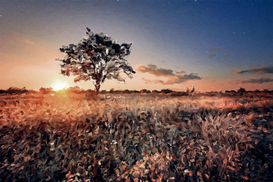 ������� ����