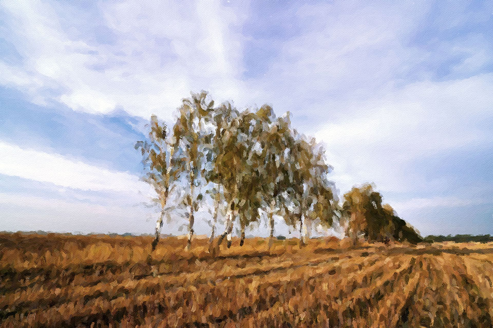 ������� ����