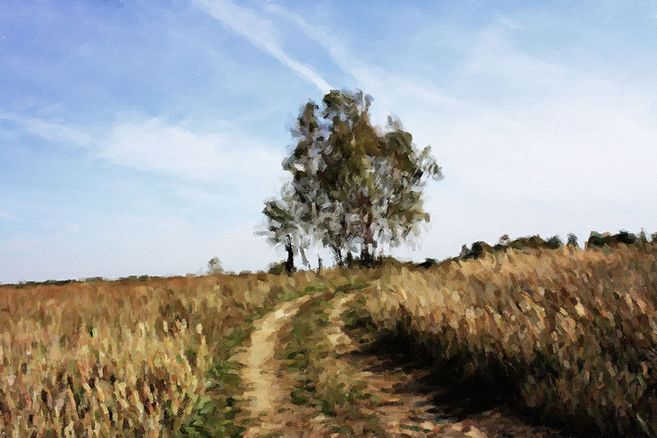 ������� ����