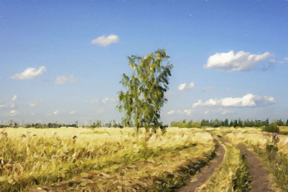 ������� ����