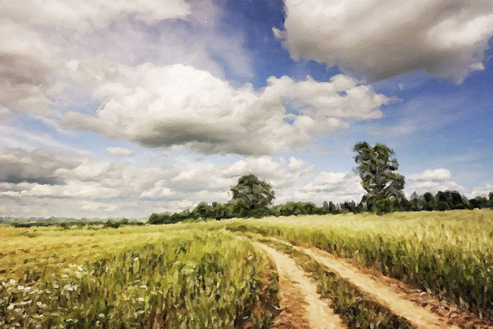 ������� ����