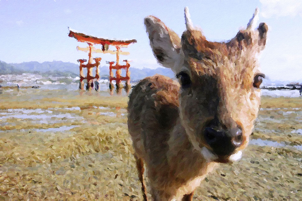 ���������