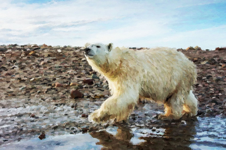 ����� �������