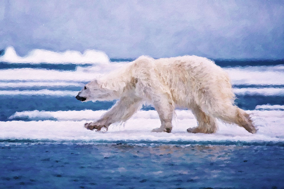 ����� �������