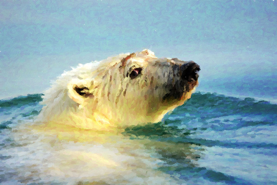 ����� �������