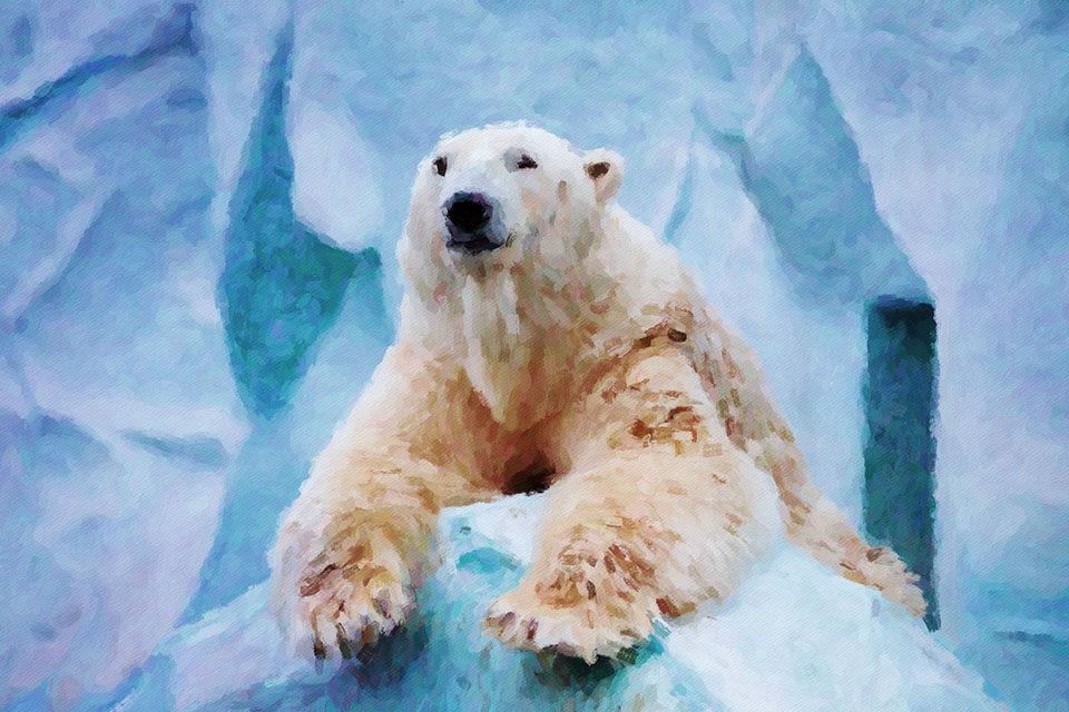 ����� �������