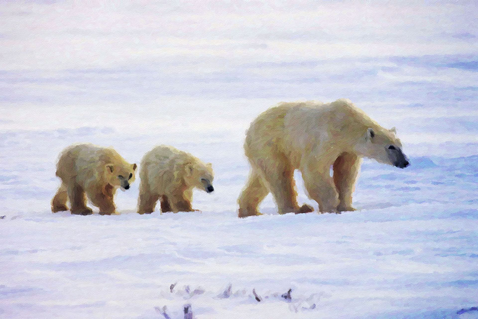 ����� �������