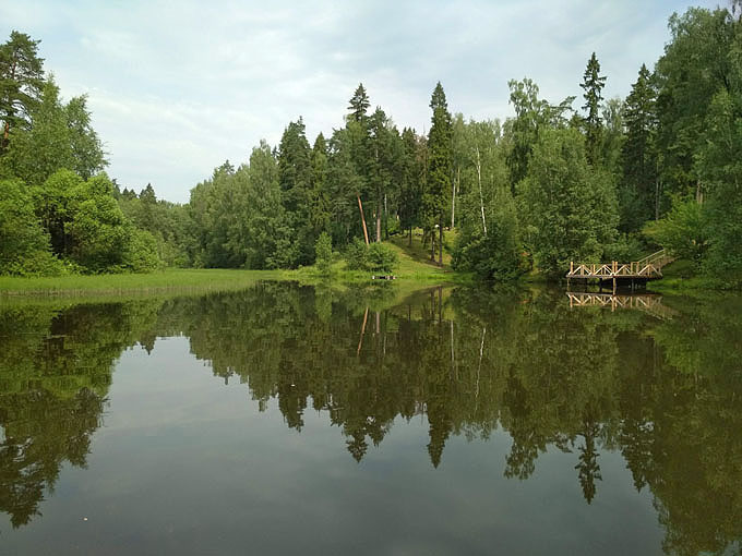 IMG_20200708_104008.jpg
