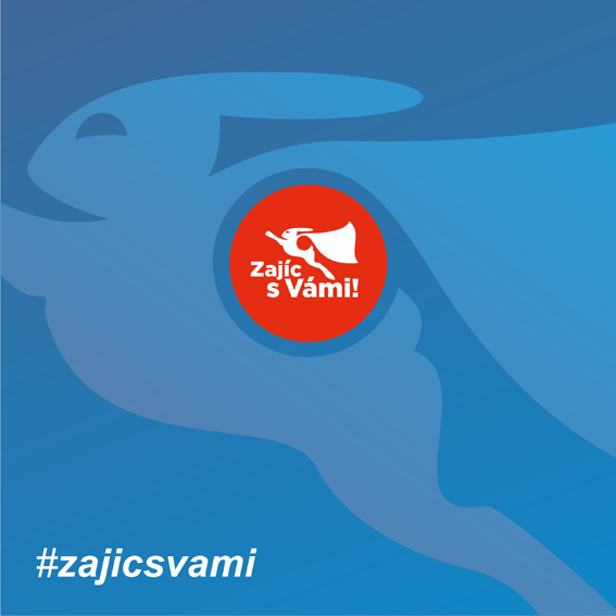 zaisv_02.jpg