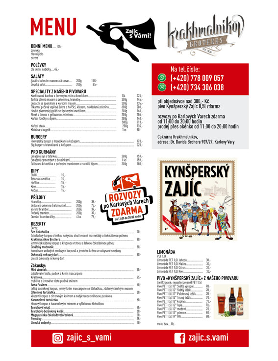 zaisv_07.jpg