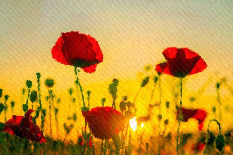 �������