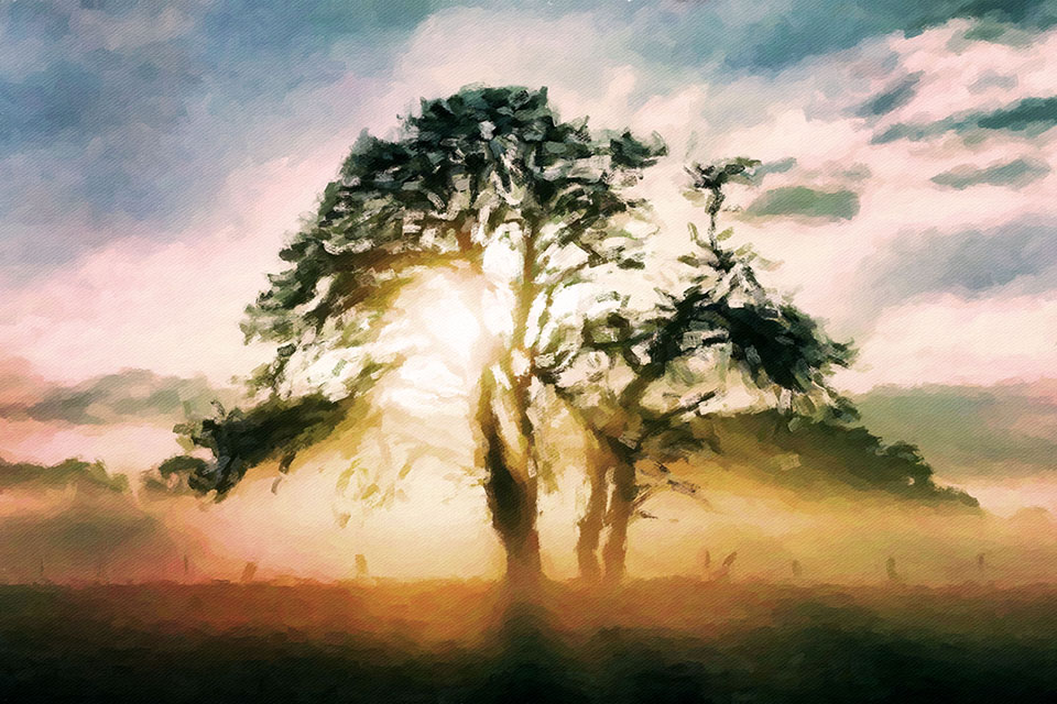 �������