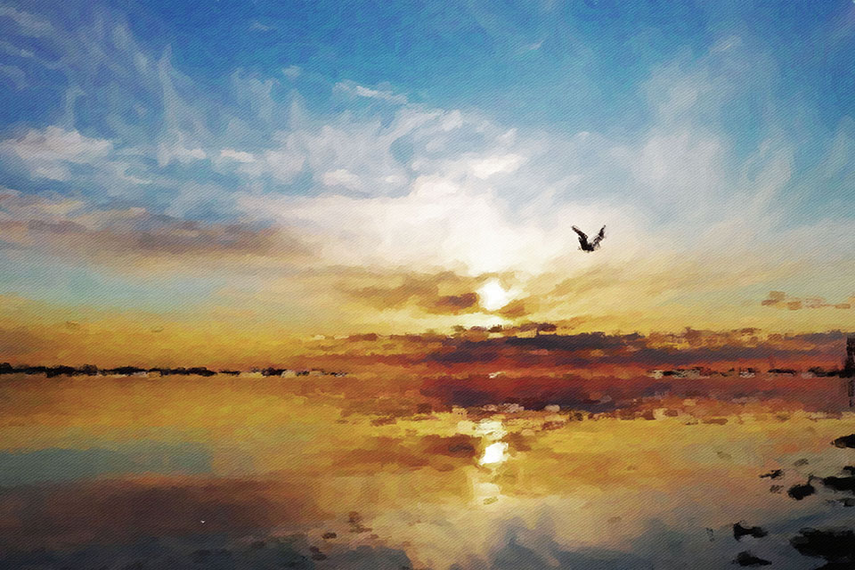 �������