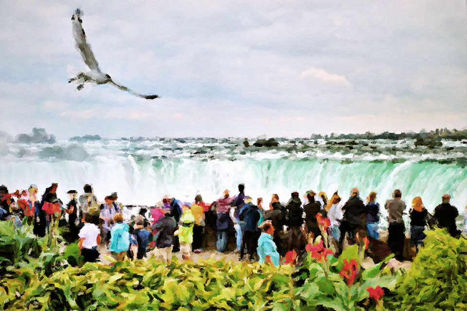 �������