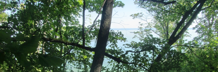 ����� �����.jpg