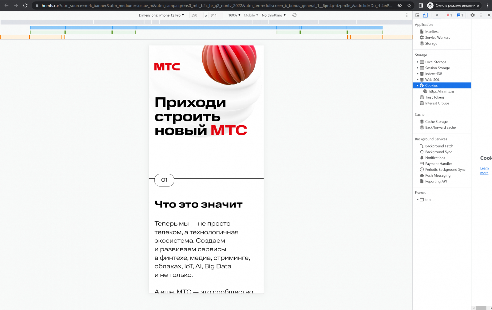 fulscreen_1_site