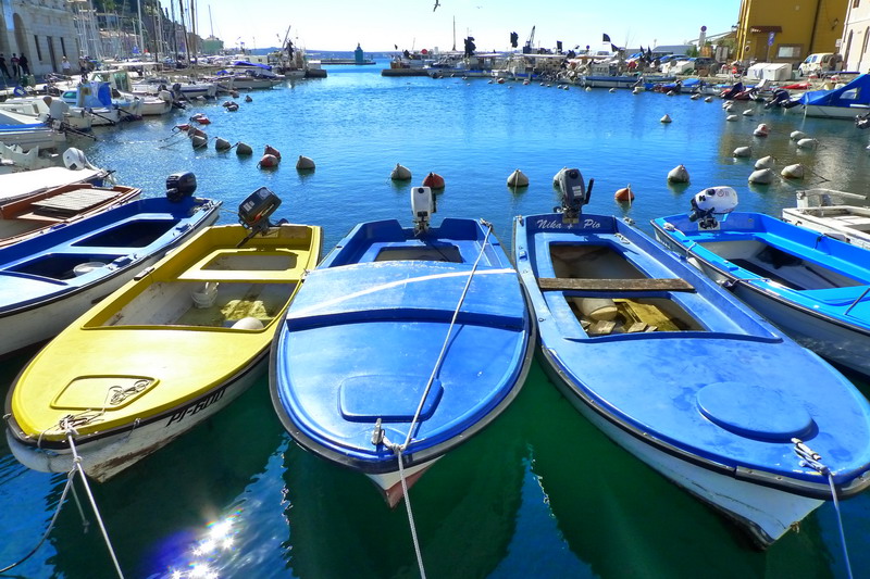 P1000672_resize.JPG
