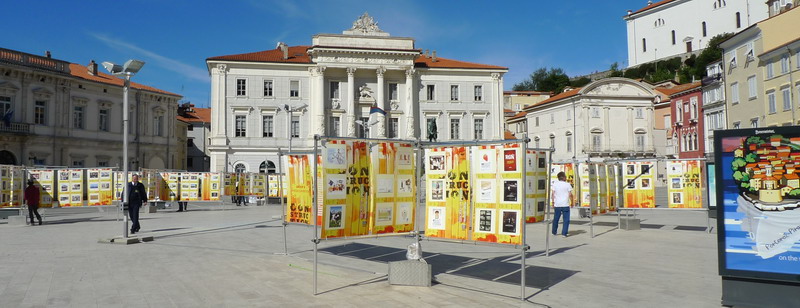 P1000644_resize.jpg